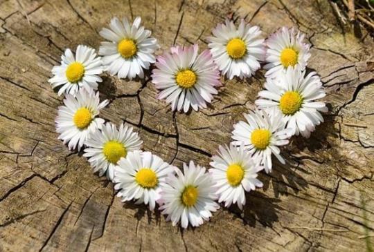 【單身女生必培養的七個戀愛好習慣  讓妳在愛情中不會迷失自我！】～女人幫總編Dr.Selena